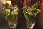lettuce 2