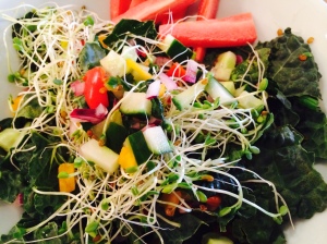 Daniel Diet Salad